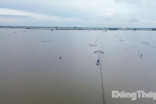 Chủ động ứng phó mưa, lũ chính vụ kết hợp triều cường từ ngày 8 đến 13-10