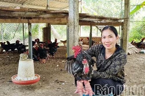 Nữ Bí thư chi đoàn năng động, làm kinh tế giỏi