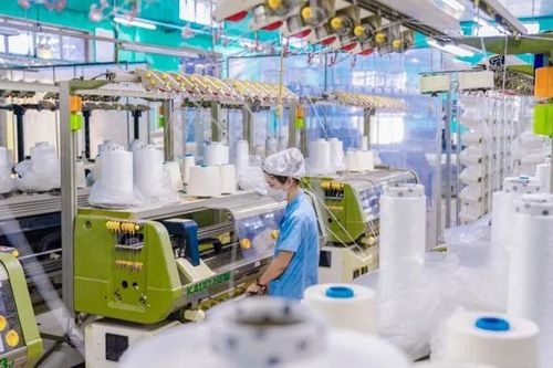 Hơn 230 nghìn doanh nghiệp tham gia vào thị trường