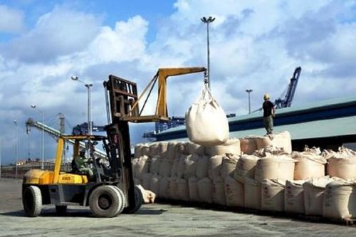 Việt Nam vươn lên top 3 thế giới về xi-măng: Từ sản lượng khủng đến 'vàng đen' từ rác thải