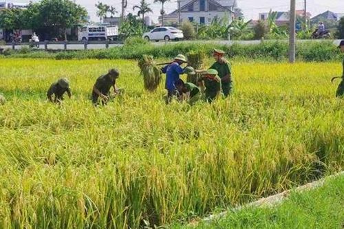 Tập trung lực lượng, phương tiện, khắc phục hậu quả bão số 10, sẵn sàng ứng phó kịp thời với bão số 11