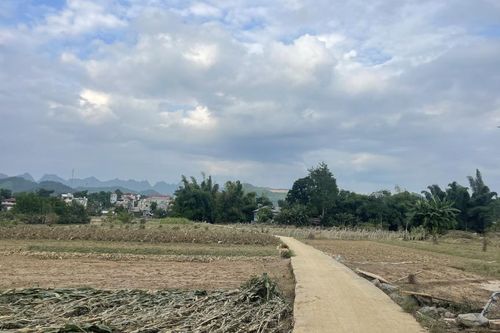 Ủy ban Mặt trận Tổ quốc tỉnh kêu gọi vận động, ủng hộ nhân dân khắc phục hậu quả thiệt hại do cơn bão số 10 gây ra