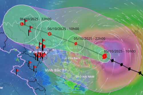Chiều tối nay bão số 11 Matmo cấp 12 vào vịnh Bắc Bộ, vùng núi nguy cơ cao lũ quét, sạt lở