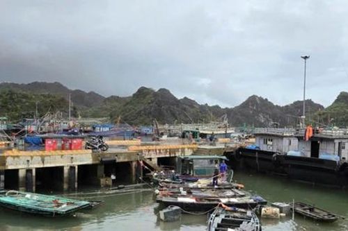 Hải Phòng, Quảng Ninh sẽ cưỡng chế tàu thuyền hoạt động ngoài khơi từ trưa 5-10