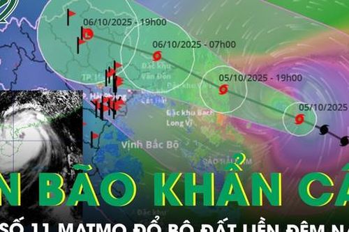 Bão số 11 Matmo đổ bộ đất liền đêm nay, hàng loạt địa phương vào vùng nguy hiểm