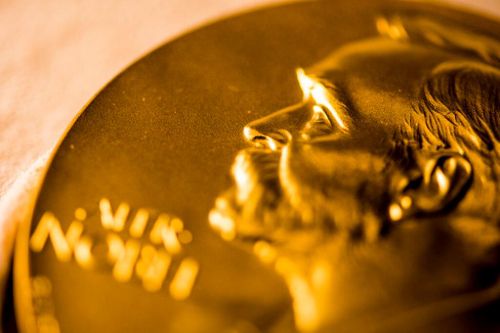 Từ những con chuột đực kỳ lạ đến Nobel Y sinh 2025