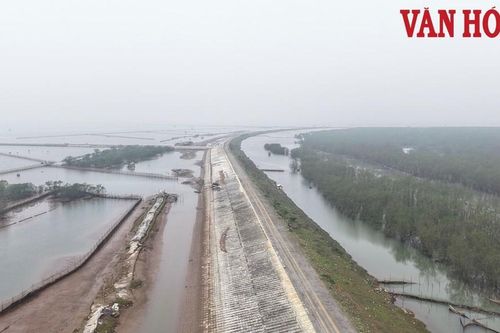 Ninh Bình: Cần 2.300 tỉ đồng cải tạo, nâng cấp 34km đê biển