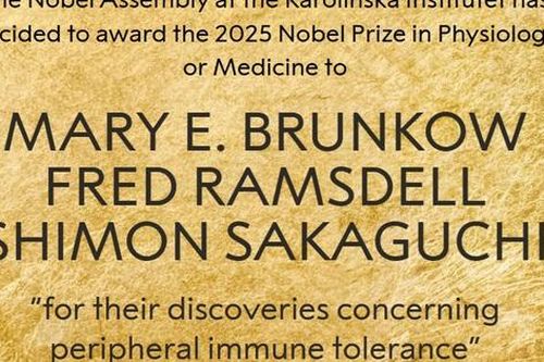 NOBEL 2025: Giải Y sinh trao cho 3 nhà khoa học với nghiên cứu miễn dịch
