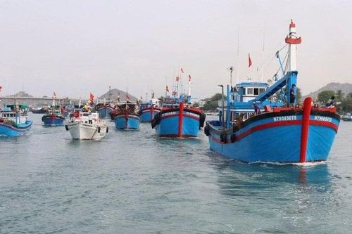 Yêu cầu cấp bách trong nâng cao quản lý nghề cá