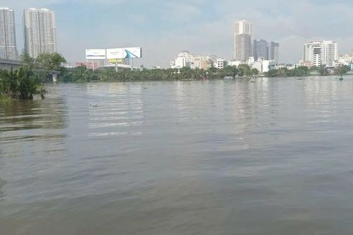 Chủ động phương án ứng phó đợt triều cường cao