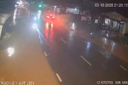 Khởi tố nữ tài xế tông chủ tịch xã ở Đắk Lắk tử vong