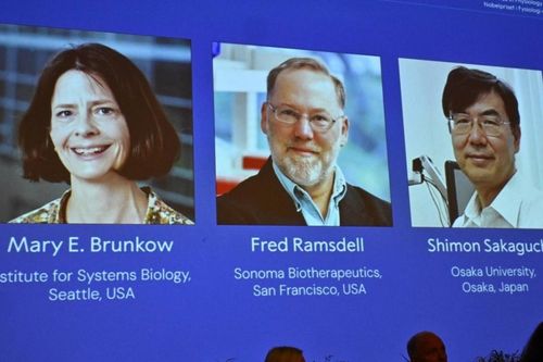 Lộ diện ba chủ nhân của giải Nobel Y sinh