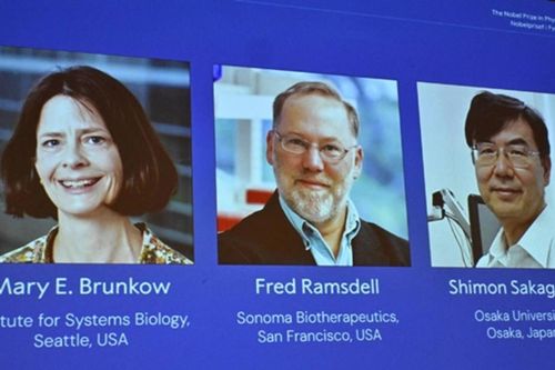 Ba nhà khoa học nhận Nobel Y sinh 2025 vì khám phá cơ chế 'phanh' của hệ miễn dịch