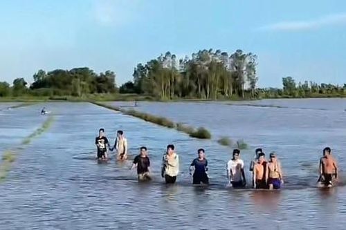Đã tìm thấy 252 học viên trốn khỏi trung tâm cai nghiện tại An Giang