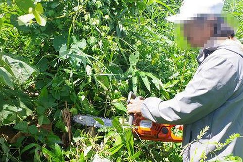 Bắt đối tượng hủy hoại gần 1ha rừng tự nhiên tại Quảng Ngãi