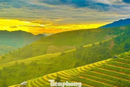 Rực rỡ, bát ngát ruộng bậc thang ở Xím Vàng