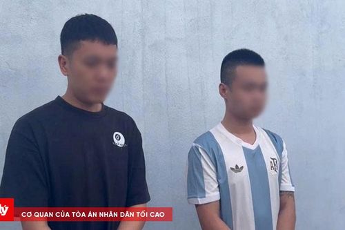 Vừa ra tù, hai đối tượng gây 7 vụ trộm trong 2 ngày