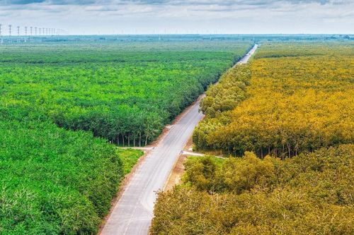 Vẻ đẹp say đắm lòng người của cung đường Hồ Chí Minh nhìn từ trên cao