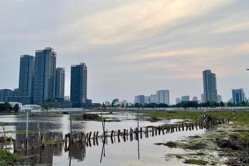 Có nên chiều doanh nghiệp ngoại?