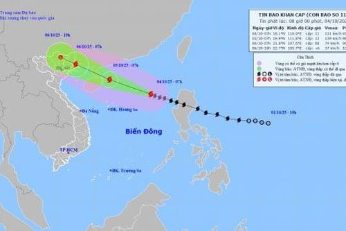 EVNNPT yêu cầu các đơn vị chủ động ứng phó với bão số 11 và hoàn lưu bão