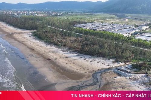 Trại tôm xả thải ra biển, người dân 'sống chung' với ô nhiễm