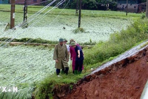 Sơn La: Mưa lớn kéo dài gây ảnh hưởng đến đời sống, sản xuất nông nghiệp