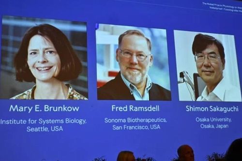 Giải Nobel Y sinh 2025 vinh danh phát minh về khả năng chữa trị ung thư