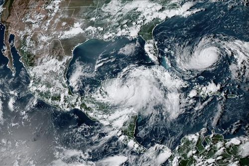 Bão mạnh Priscilla hình thành ở ngoài khơi bờ biển Mexico