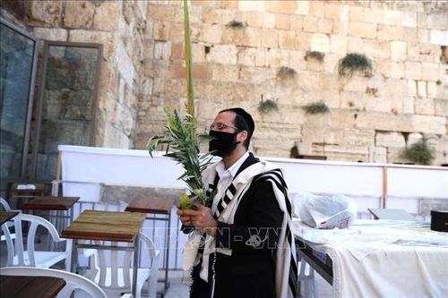 Israel bắt đầu Lễ hội Sukkot