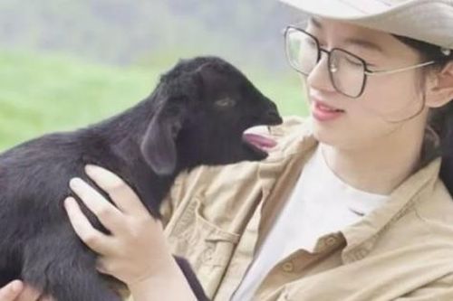Bỏ phố về quê xây 'chung cư', lập 'gia phả' cho dê, 9x đút túi vài tỷ/năm