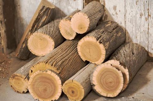 Loại gỗ chứa 'vàng lỏng' giá 160 triệu đồng/kg, khan hiếm đến mức không có mà mua