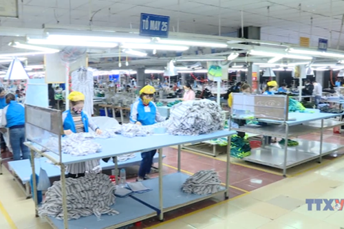 Doanh nghiệp tư nhân Việt Nam trong kỷ nguyên vươn mình