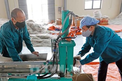 Doanh nghiệp tư nhân Việt Nam trong kỷ nguyên vươn mình