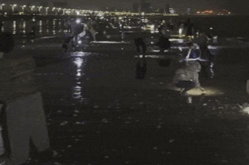 Sau bão lớn, người dân mang bao tải ra bãi biển bắt hải sản 'khủng'