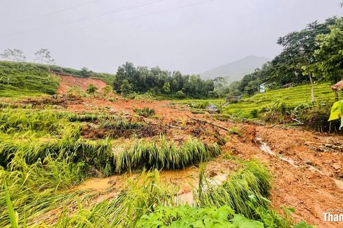 Sạt lở ở Khu du lịch sinh thái cộng đồng Pù Luông, cảnh quan du lịch bị ảnh hưởng
