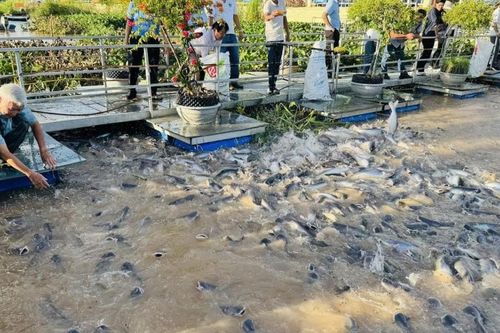 Thúc đẩy chuyển đổi nông nghiệp sinh thái tại Đồng bằng sông Cửu Long