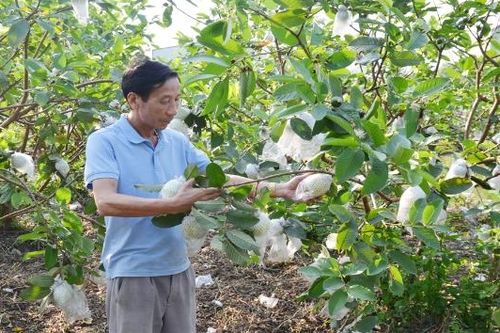 Lợi ích kép từ sử dụng chế phẩm vi sinh IMO