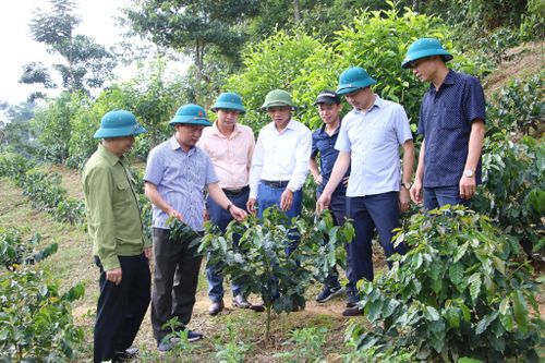 Niềm tin hướng về Đại hội