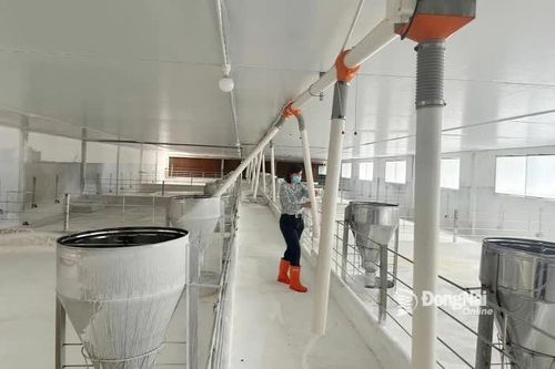 Thu hút đầu tư chăn nuôi công nghệ cao về phía Bắc tỉnh Đồng Nai