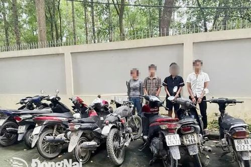 Chủ động ngăn ngừa tội phạm trộm cắp tài sản