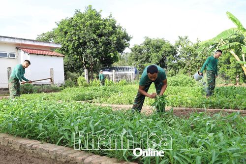 Tăng gia sản xuất ở Đại đội Trinh sát cơ giới 2