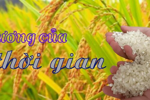 Hương của thời gian