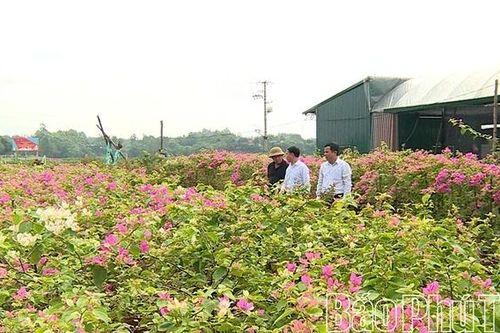 Sông Lô: Vươn mình thành đô thị ven sông