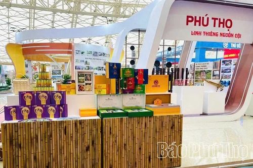 Tinh bột nghệ Nhưng Vần - Từ xứ Mường vươn ra thế giới