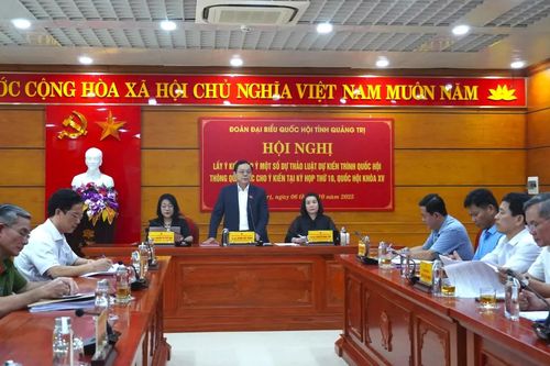Đoàn đại biểu Quốc hội tỉnh lấy ý kiến góp ý một số dự thảo luật