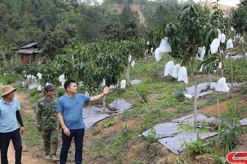 HTX tiêu biểu ở Sốp Cộp