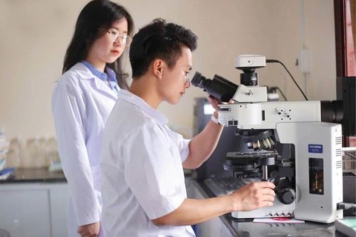 Hiện đại hóa hạ tầng, nâng chất lượng đào tạo