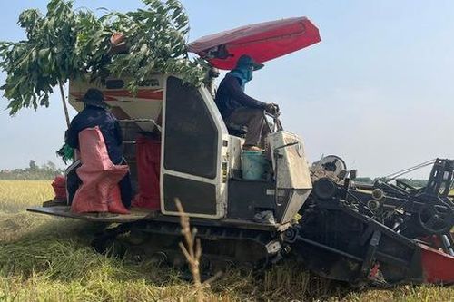 Nông nghiệp xanh, du lịch sinh thái bền vững với trải nghiệm khác biệt ở Bà Rịa - Vũng Tàu