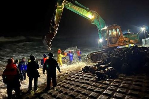 Ninh Bình: Kiến nghị đầu tư 2.300 tỷ đồng nâng cấp ba tuyến đê biển trọng yếu