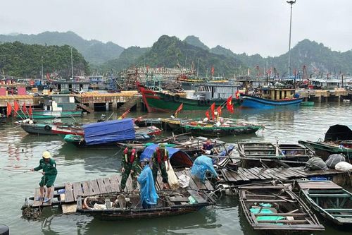 Hải Phòng cấm một số hoạt động trên khu vực cửa sông, biển để phòng, chống bão số 11